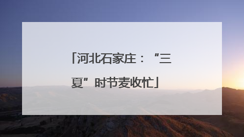 河北石家庄：“三夏”时节麦收忙