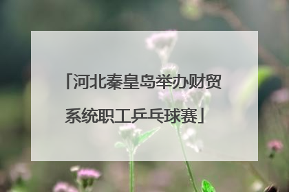 河北秦皇岛举办财贸系统职工乒乓球赛