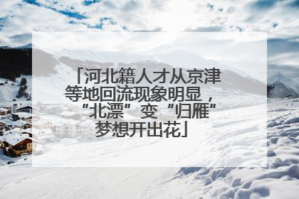 河北籍人才从京津等地回流现象明显，“北漂”变“归雁” 梦想开出花