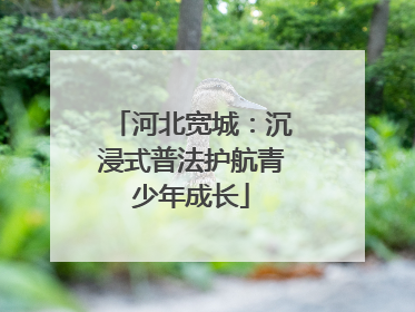 河北宽城：沉浸式普法护航青少年成长