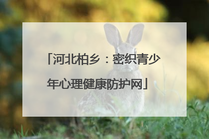 河北柏乡：密织青少年心理健康防护网