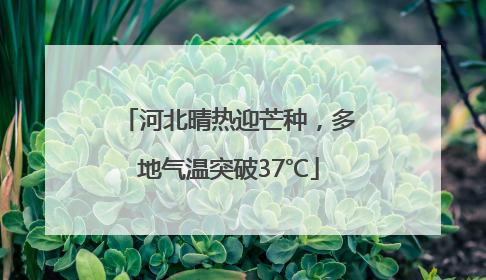 河北晴热迎芒种，多地气温突破37℃