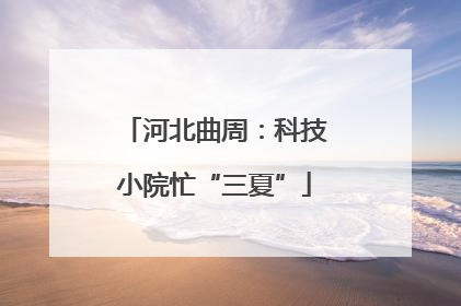 河北曲周：科技小院忙“三夏”