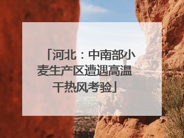 河北：中南部小麦生产区遭遇高温干热风考验