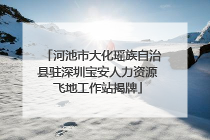 河池市大化瑶族自治县驻深圳宝安人力资源飞地工作站揭牌