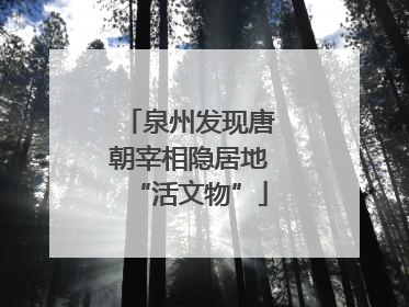 泉州发现唐朝宰相隐居地“活文物”