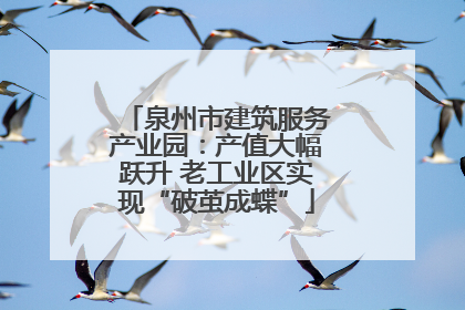 泉州市建筑服务产业园：产值大幅跃升 老工业区实现“破茧成蝶”
