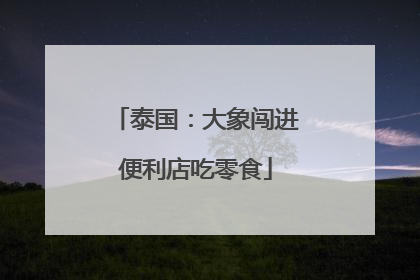 泰国：大象闯进便利店吃零食