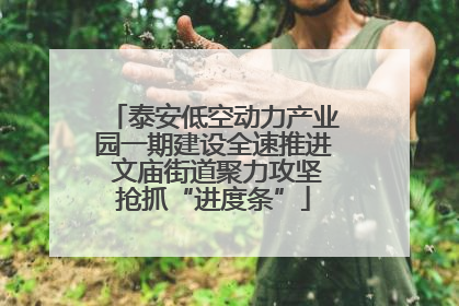 泰安低空动力产业园一期建设全速推进 文庙街道聚力攻坚抢抓“进度条”