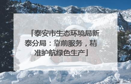 泰安市生态环境局新泰分局：靠前服务，精准护航绿色生产