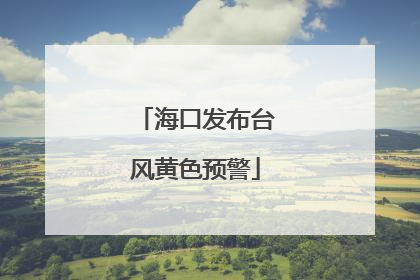 海口发布台风黄色预警