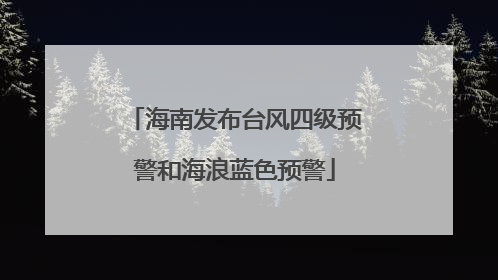 海南发布台风四级预警和海浪蓝色预警
