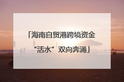 海南自贸港跨境资金“活水”双向奔涌