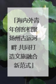海内外青年创客相聚扬州古运河畔 共同打造文旅融合新范式