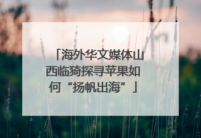 海外华文媒体山西临猗探寻苹果如何“扬帆出海”