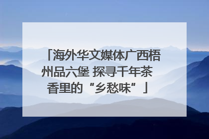 海外华文媒体广西梧州品六堡 探寻千年茶香里的“乡愁味”