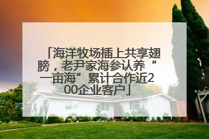 海洋牧场插上共享翅膀，老尹家海参认养“一亩海”累计合作近200企业客户