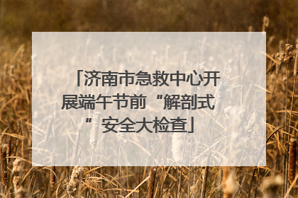 济南市急救中心开展端午节前“解剖式”安全大检查