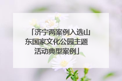 济宁两案例入选山东国家文化公园主题活动典型案例