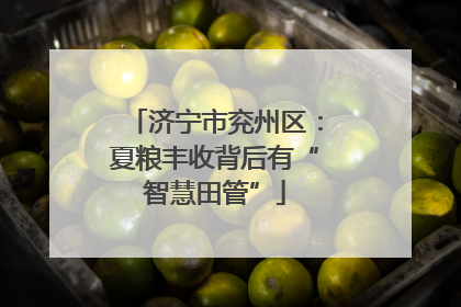 济宁市兖州区：夏粮丰收背后有“智慧田管”