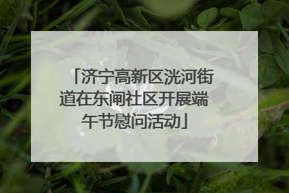 济宁高新区洸河街道在东闸社区开展端午节慰问活动