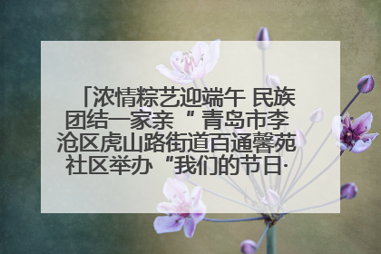浓情粽艺迎端午 民族团结一家亲“ 青岛市李沧区虎山路街道百通馨苑社区举办“我们的节日·端午“主题活动