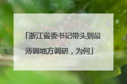 浙江省委书记带头到最薄弱地方调研，为何