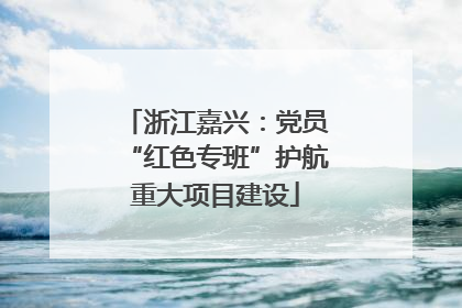 浙江嘉兴：党员“红色专班”护航重大项目建设