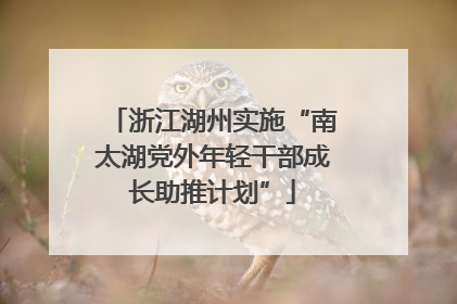 浙江湖州实施“南太湖党外年轻干部成长助推计划”