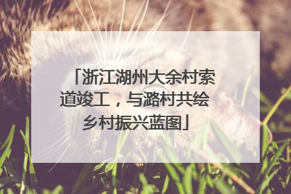 浙江湖州大余村索道竣工，与潞村共绘乡村振兴蓝图