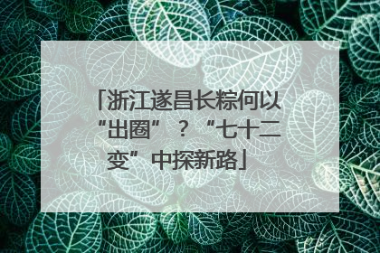 浙江遂昌长粽何以“出圈”？“七十二变”中探新路