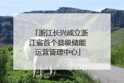 浙江长兴成立浙江省首个县级储能运营管理中心
