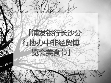 浦发银行长沙分行协办中非经贸博览会美食节