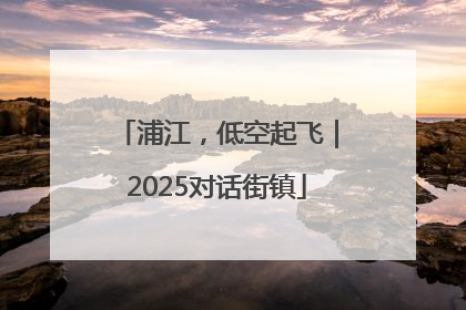 浦江，低空起飞｜2025对话街镇