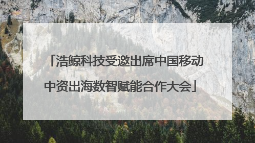 浩鲸科技受邀出席中国移动中资出海数智赋能合作大会
