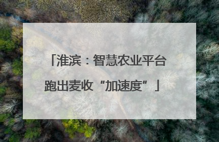 淮滨：智慧农业平台跑出麦收“加速度”