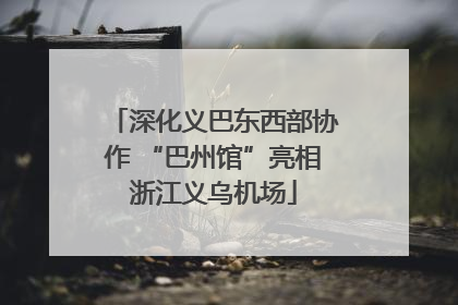 深化义巴东西部协作 “巴州馆”亮相浙江义乌机场