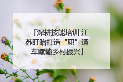 深耕技能培训 江苏盱眙打造“职”通车赋能乡村振兴