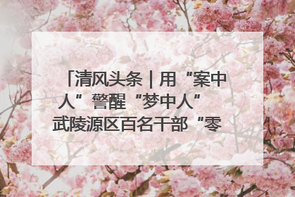 清风头条｜用“案中人”警醒“梦中人” 武陵源区百名干部“零距离”接受警示教育