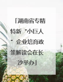 湖南省专精特新“小巨人”企业培育政策解读会在长沙举办