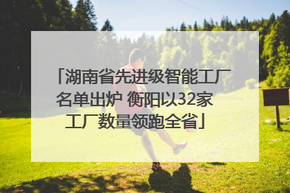 湖南省先进级智能工厂名单出炉 衡阳以32家工厂数量领跑全省