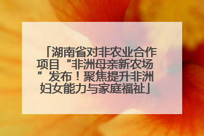 湖南省对非农业合作项目“非洲母亲新农场”发布！聚焦提升非洲妇女能力与家庭福祉
