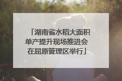 湖南省水稻大面积单产提升现场推进会在屈原管理区举行