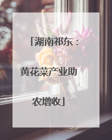 湖南祁东：黄花菜产业助农增收