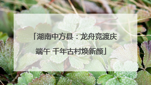 湖南中方县：龙舟竞渡庆端午 千年古村焕新颜