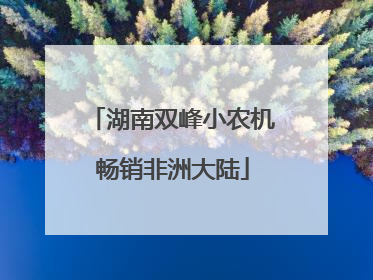 湖南双峰小农机畅销非洲大陆