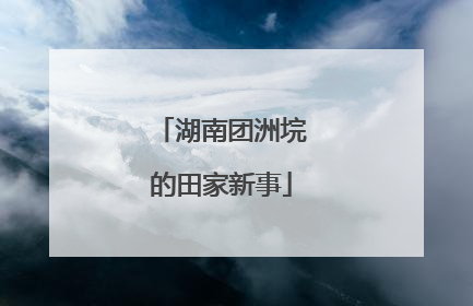 湖南团洲垸的田家新事