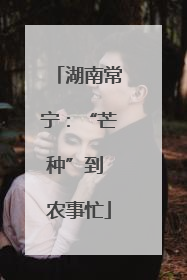 湖南常宁：“芒种”到 农事忙