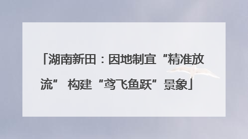 湖南新田：因地制宜“精准放流” 构建“鸢飞鱼跃”景象