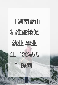 湖南蓝山精准施策促就业 毕业生“沉浸式”探岗
